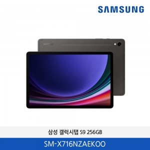 삼성 갤럭시 탭 S9 5G 256G  SM-X716NZAEKOO