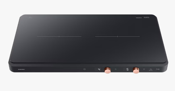삼성 더 플레이트 인덕션 2구 프리스탠딩 NZ62DG300CFK