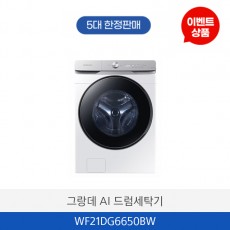삼성 그랑데 AI 드럼세탁기 WF21DG6650BW