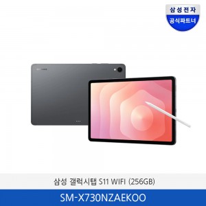 삼성 갤럭시탭 S11 WiFi (256GB) SM-X730NZAEKOO