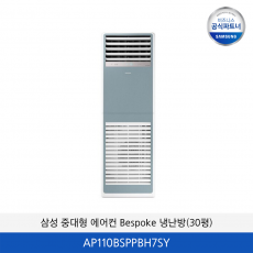 삼성 중대형 에어컨 Bespoke 냉난방 (30평) 단상 AP110BSPPBH7SY